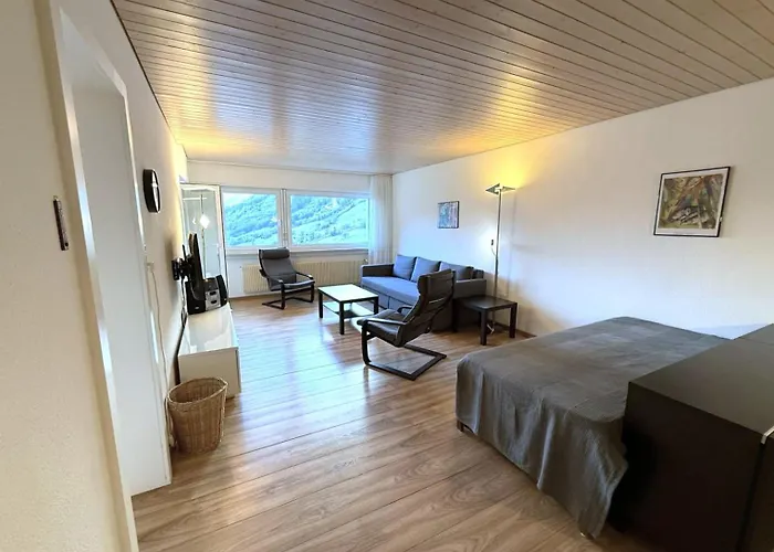 Salve 9 * Лойкербад